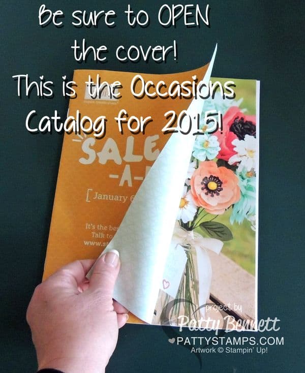 Occasions-catalog-2015-stampin-up-pattystamps
