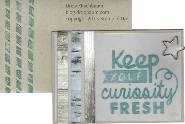 Adventure-bound-awaits-cards-stampin-up-drew