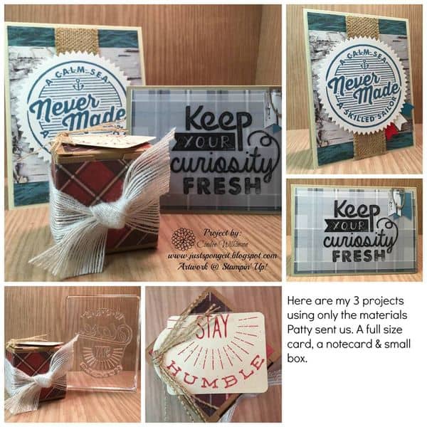Adventure-bound-awaits-cards-stampin-up-cindee