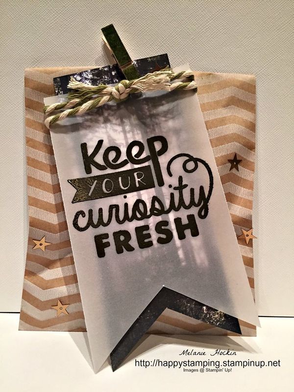 Adventure-bound-awaits-cards-stampin-up-melanie
