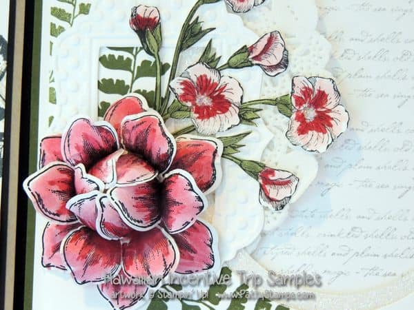 Hawaii-stampin-up-swaps-cards-pattystamps--butterfly-basics-beautiful-bunch
