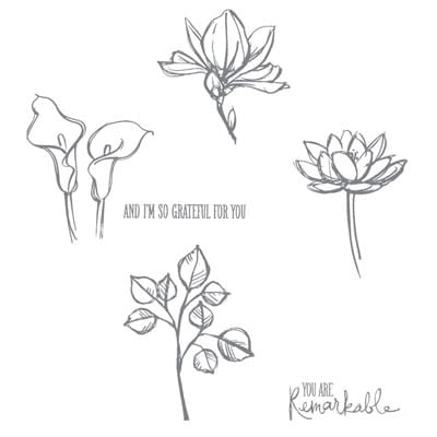 139894_stampset_remarkableyou_clear