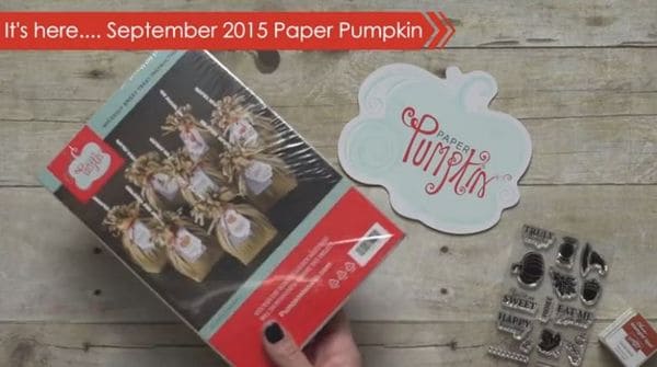 September-2015-paper-pumpkin-treat-bags-halloween September-2015-paper-pumpkin-treat-bags-halloween