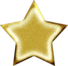 Gold star