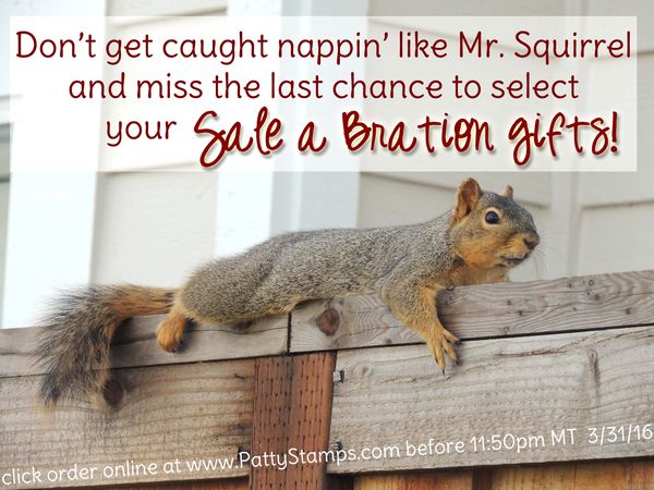End of sale a bration stampin up pattystamps mr squirrel
