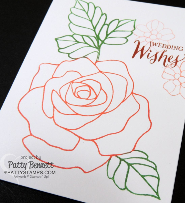 Flower cards featuring the Rose Wonder Stamp set - new in the 2016 Occasions catalog from Stampin' Up!..  by Patty Bennett at pattystamps.com 
