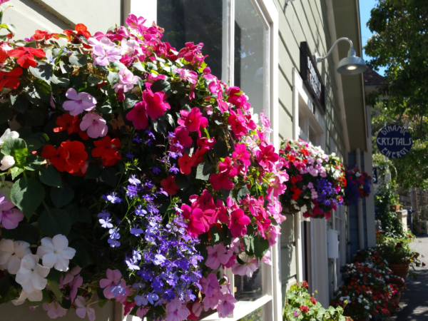 Beautiful flower baskets in Sausalito CA, photo by Patty Bennett Beautiful flower baskets in Sausalito CA, photo by Patty Bennett
