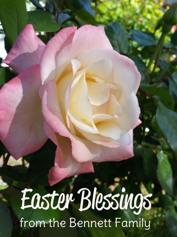 Easter blessings rose garden pattystamps