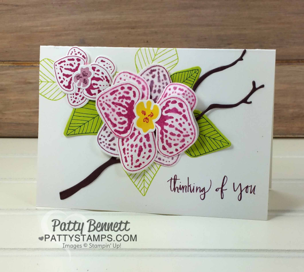 Climbing Orchid stamp set and Orchid Builder bundle card ideas featuring Stampin Up! paper, stamps and ink.  By Patty Bennett