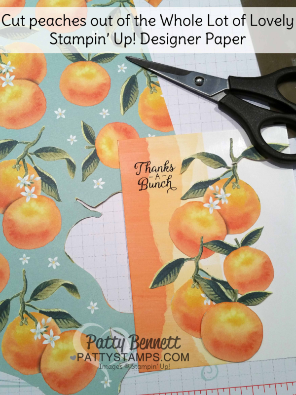 Faux Torn Edge featuring glossy paper and Stampin' Up! ink pads and peaches from the Whole Lot of Lovely designer series paper packet.  Card ideas and "how to" tutorial by Patty Bennett