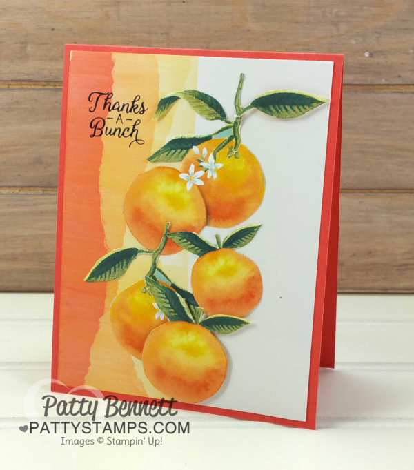 Faux Torn Edge featuring glossy paper and Stampin' Up! ink pads and Whole Lot of Lovely peaches pattern paper.  Card ideas and "how to" tutorial by Patty Bennett