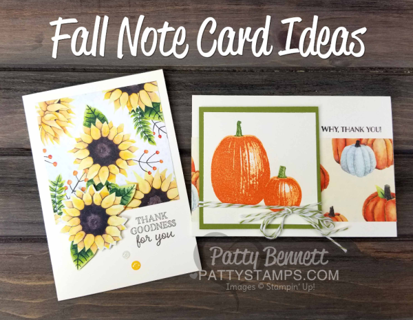Gourd Goodness pumpkin fall note card idea and Stampin' Up! Painted Autumn sunflower card. Perfect Fall or Thanksgiving note cards.