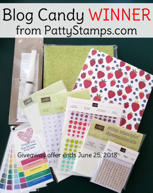 Patty's 23rd anniversary Stampin' UP! Blog Candy winner!