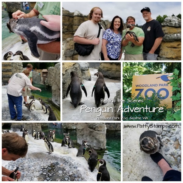 Bennett Family Seattle Adventure 2018 - Woodland Park Zoo, Penguin Adventure. www.PattyStamps.com