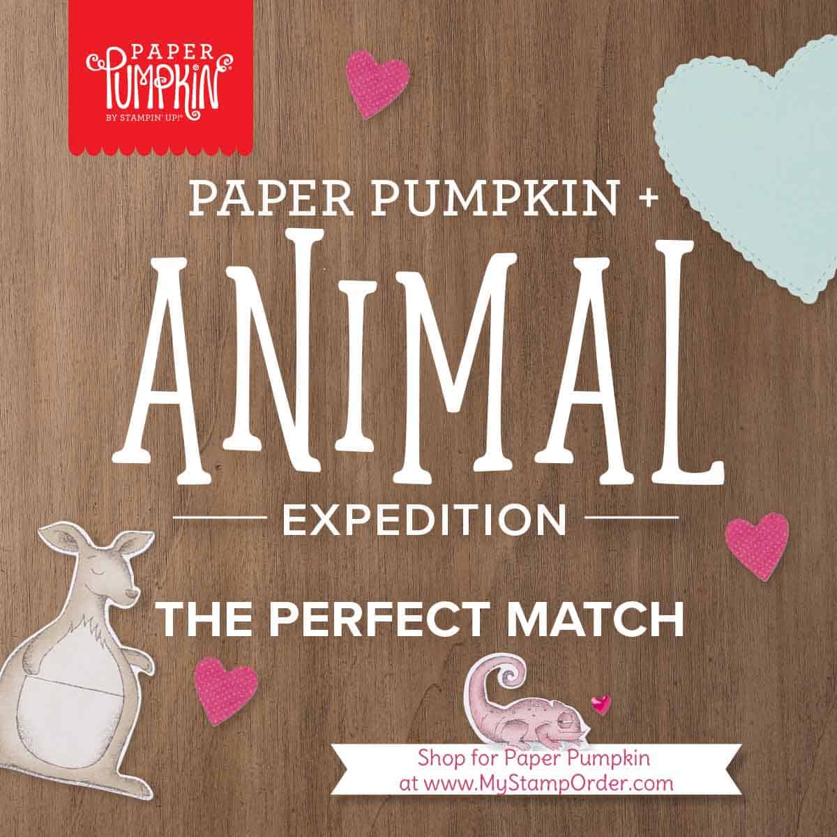 Animal Expedition bundle coordinates with the January 2019 Paper Pumpkin Kit from Stampin' UP! - shop online at www.MyStampOrder.com