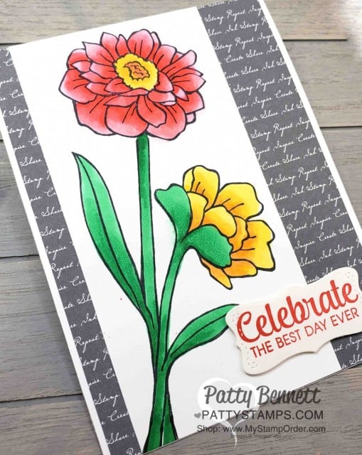 Stampin' Up! Band Together stamp set card idea featuring coloring with Stampin' Blends markers and script designer paper background by Patty Bennett www.PattyStamps.com