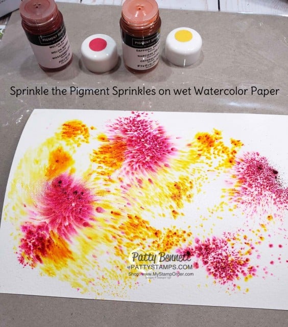 Stampin' UP! Pigment Sprinkles #149663 and Watercolor Paper. By Patty Bennett www.PattyStamps.com