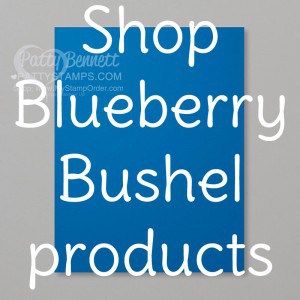 2018 2020 Stampin' Up! In Color - Blueberry Bushel! Retiring Soon!  www.PattyStamps.com