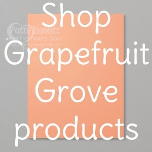2018 2020 Stampin' Up! In Color - Grapefruit Grove! Retiring Soon!  www.PattyStamps.com