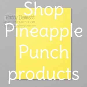 2018 2020 Stampin' Up! In Color - Pineapple Punch! Retiring Soon!  www.PattyStamps.com