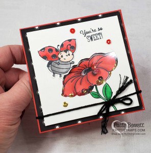Little Ladybug Shaker Card idea with Stampin UP hostess set and Peaceful Poppy sequins! Colored with Stampin' Blends by Patty Bennett www.PattyStamps.com