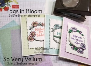Stampin Up Sale-a-Bration 2020 So Very Vellum gift with purchase! Comes in a pack of 3 colors, preembossed! Great for spring cards! Tags in Bloom set is also a Sale-a-Bration gift offering. www.PattyStamps.com