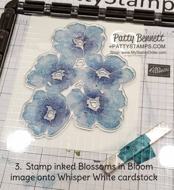 Blossoms in Bloom stamp set from Stampin Up #152684 stamped with the Stamparatus with ink pads and sponge daubers. cards by Patty Bennett www.PattyStamps.com