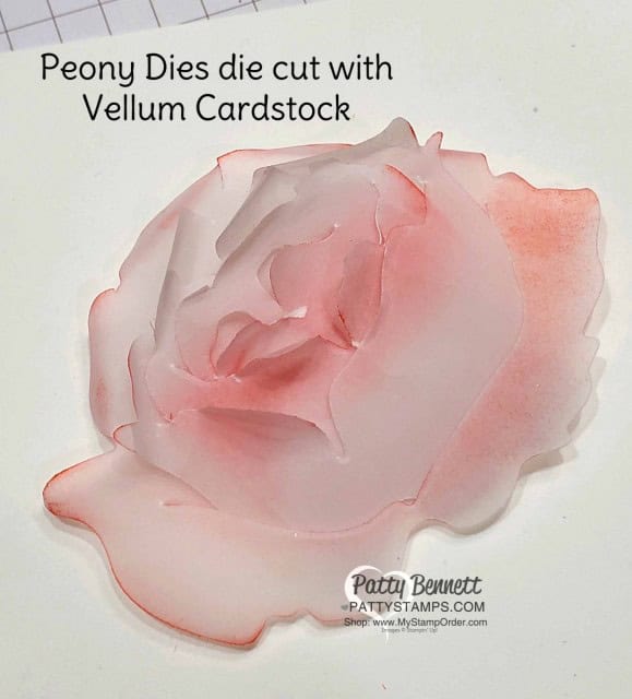 Die cut Prized Peony dies with Cardstock Vellum, sponge and curl edges. Card making supplies from Stampin' UP! www.PattyStamps.com