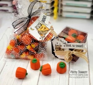 Halloween Treat Idea: Stampin' UP! Have a Hoot bundle owls colored with Stampin' Blends. Mosaic Cello Bag and Clear Square Treat box. www.PattyStamps.com