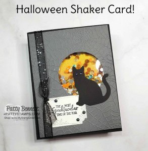 Stampin' UP! Halloween Shaker Card Idea featuring Cobwebs embossing folder and black Cat Punch, by Patty Bennett www.PattyStamps.com
