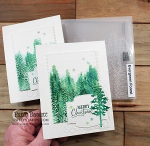 Watercoloring on the Stampin' UP! Evergreen Forest embossing folder with ink and water painters. Christmas Card Idea from Patty Bennett www.PattyStamps.com