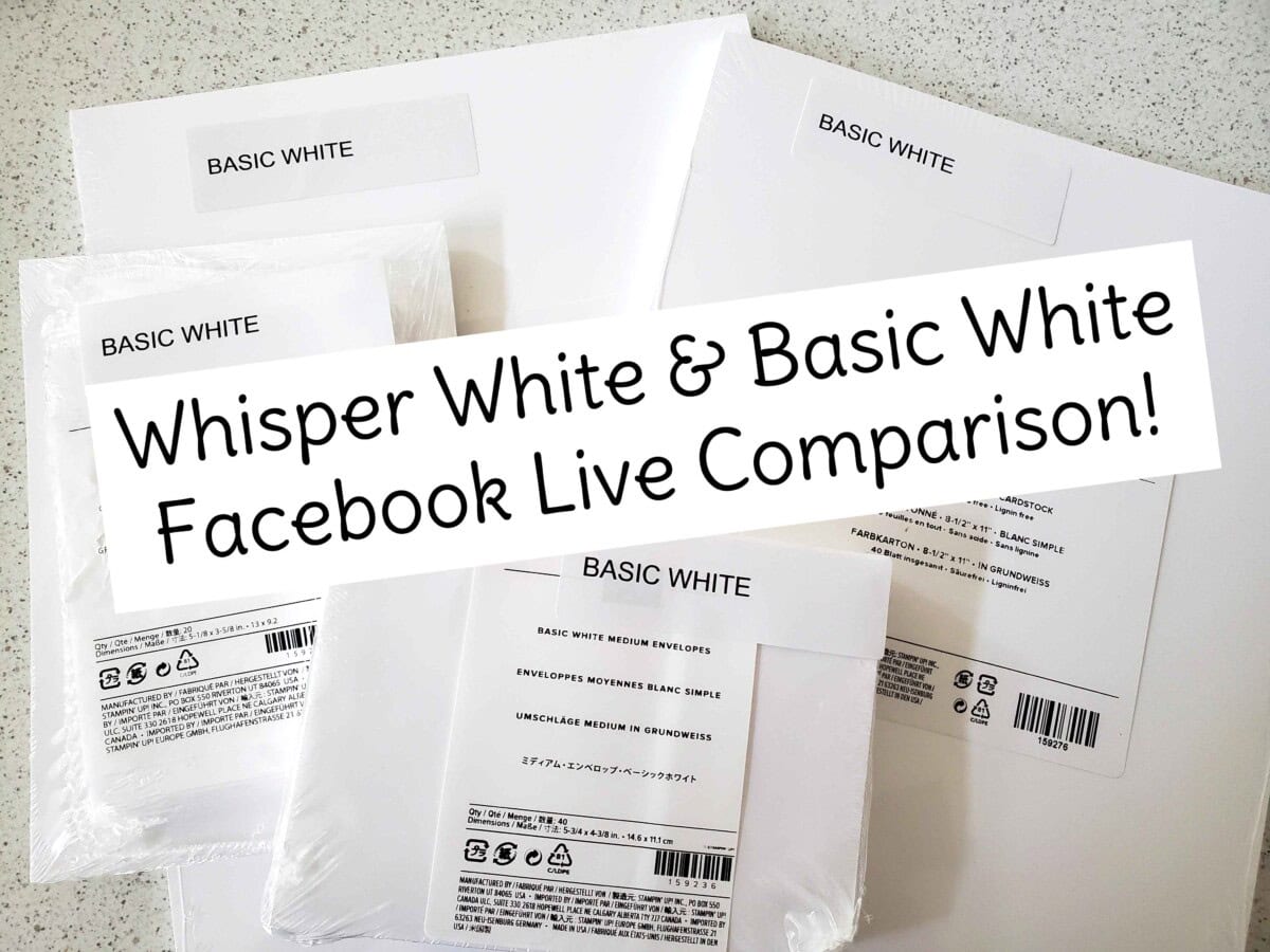 Comparing Stampin UP Whisper White and the NEW Basic White cardstock, envelopes, note cards and more! Replay of live video with Patty Bennett www.PattyStamps.com