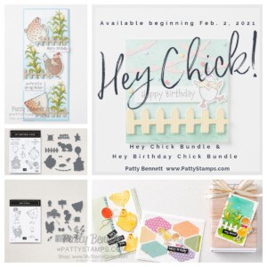 Hey Chick and Hey Birthday Chick bundles from Stampin' Up! Shop with Patty Bennett www.pattystamps.com
