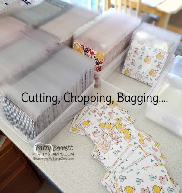 Packaging Paper Shares for the Jan-June 2021 Stampin' UP! catalog. www.PattyStamps.com