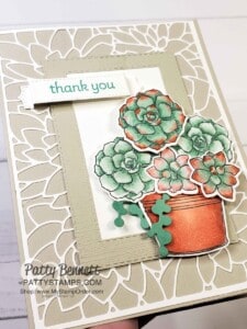 Simply Succulents stamp set image colored with Stampin' Blends markers. Potted Succulents die card background. by Patty Bennett www.PattyStamps.com