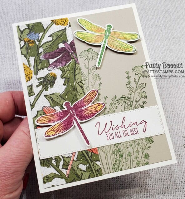 Dragonfly card idea featuring Stampin' Up! Dandy Garden suite, Dragonflies punch and Stampin' Blends coloring by Patty Bennett