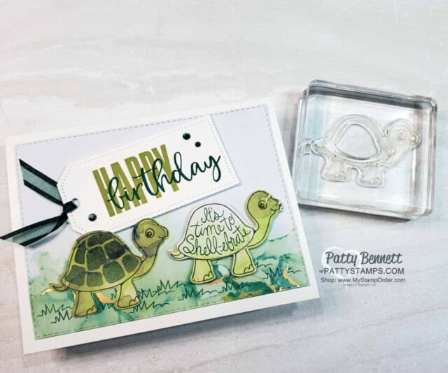 Turtle Friends birthday card idea featuring Expressions in Ink designer paper and Biggest Wish stamp set, by Patty Bennett 
