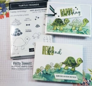 Turtle Friends card ideas featuring Expressions in Ink designer paper and Biggest Wish stamp set and Many Happenings stamp set, by Patty Bennett