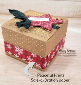 Scalloped Kraft Treat Box from Stampin' Up! decorated with the Tidings & Trimmings bundle and Gold paper. Peaceful Prints Sale-a-Bration paper accents!