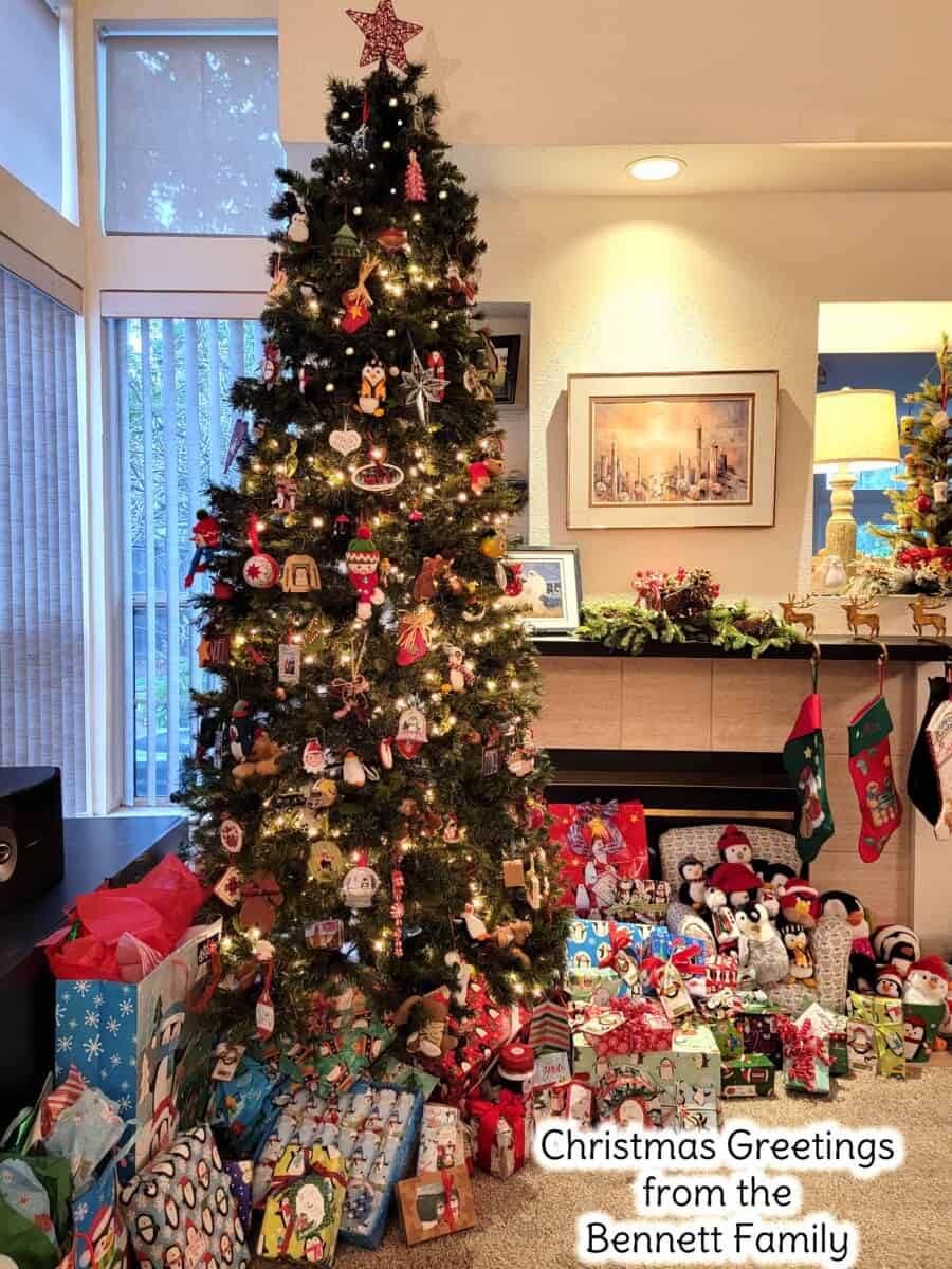 Bennett family Christmas tree 2021