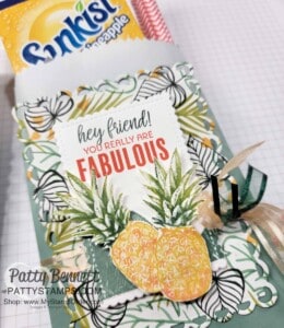 Island Vibes Sale-a-Bration stamp set from Stampin' UP! on Ombre Gift Bag with Scalloped contours die and stamped pineapple.