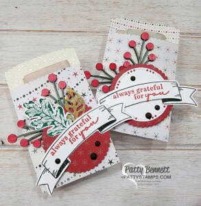Mini Pocket Envelope die with cash for cruise gratuity or tips by Patty Bennett