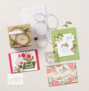 Stampin' UP! Ringed with Love bundle, cards and video