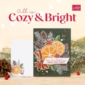 Cozy & Bright Stampin' Up! Card kit makes 12 cards for Christmas and holidays - while supplies last 160338 www.PattyStamps.com/shop