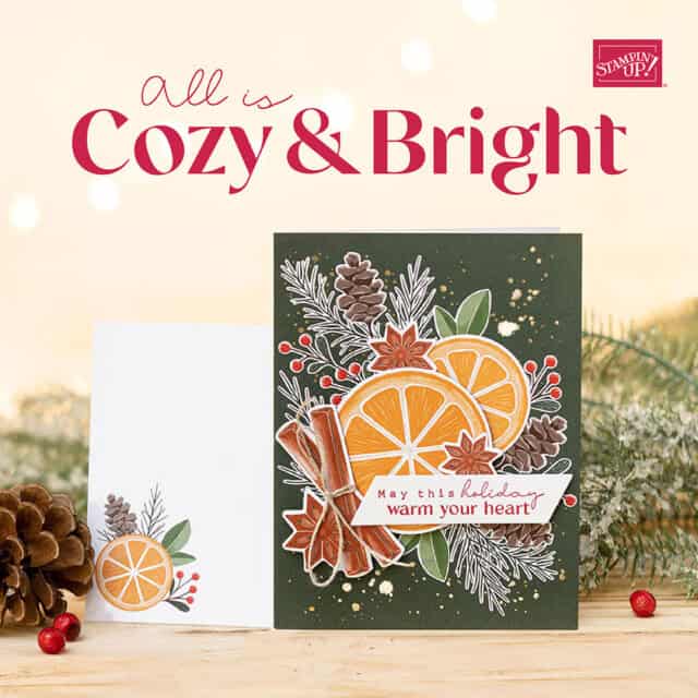 Cozy & Bright Stampin' Up! Card kit makes 12 cards for Christmas and holidays - while supplies last 160338 www.PattyStamps.com/shop