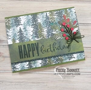 Simple Birthday card idea featuring tree design from the Stampin' Up! Boughs of Holly designer paper, by Patty Bennett. Biggest Wish greeting stamp set.