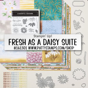 Stampin Up! Fresh as a Daisy suite for card making and paper crafting projects