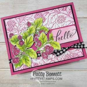 Stampin' Up! Berry Harvest background stamp card idea colored with Stampin' Blends markers. Video tutorial by Patty Bennett
