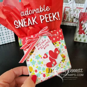 Cute Gift Bag created with the Stampin' UP! Bee Mine suite! by Patty Bennett
