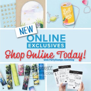 Stampin Up! Online Exclusives November 2023 new papercrafting products, shop online www.PattyStamps.com/shop